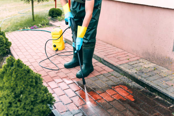 Best Graffiti Removal  in Fayette, OH